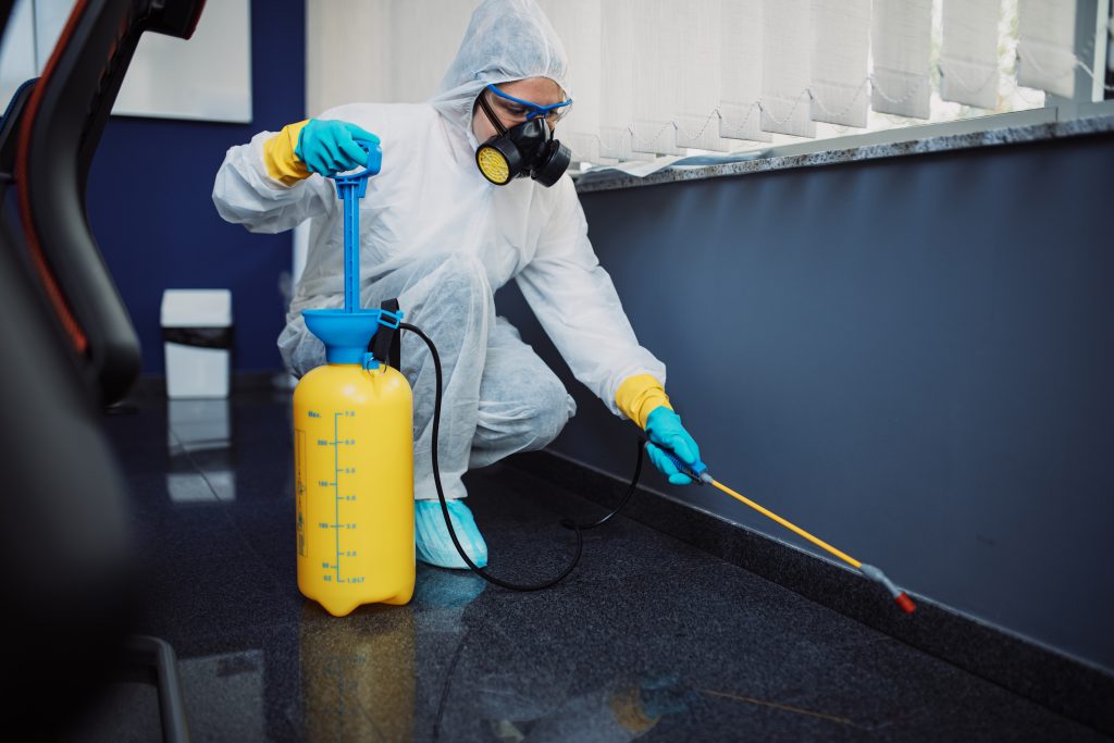 commercial services, Alkham pest control, Folkestone pest control, Hawkinge Pest control, Alkham Pest Control, West Hougham, Capel-le-fern pest control, lyminge pest control, Etching pest control, Peene pest control, Newington pest control, Saltwood pest control, Hythe pest control, Sandgate pest control